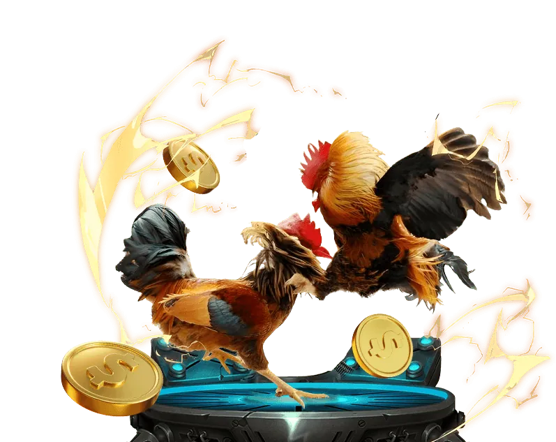 Hoàn trả hàng ngày đá gà